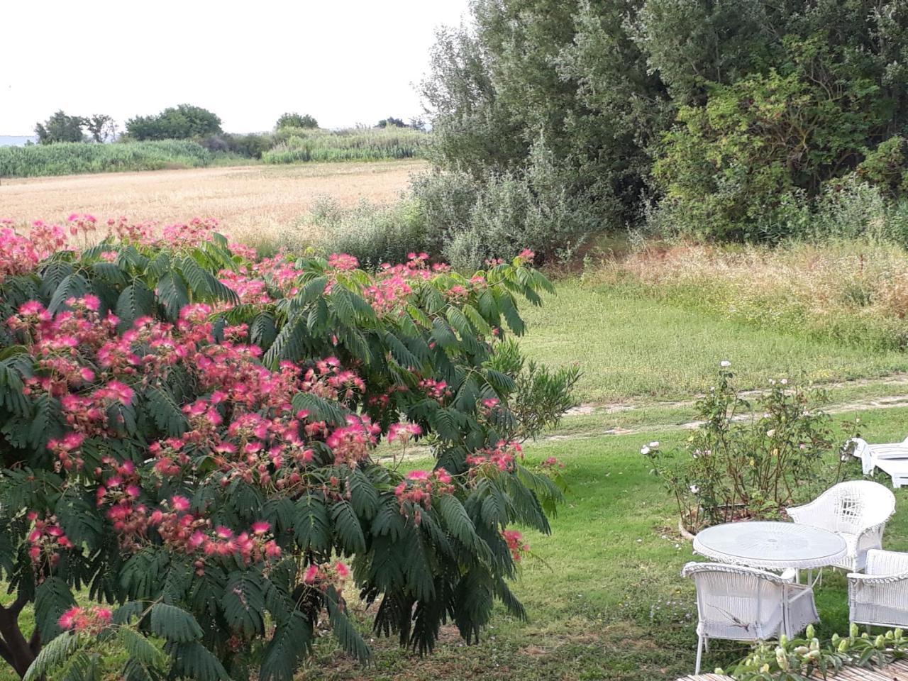 Aux Roses De L'Etang Hotel Capestang Exterior foto