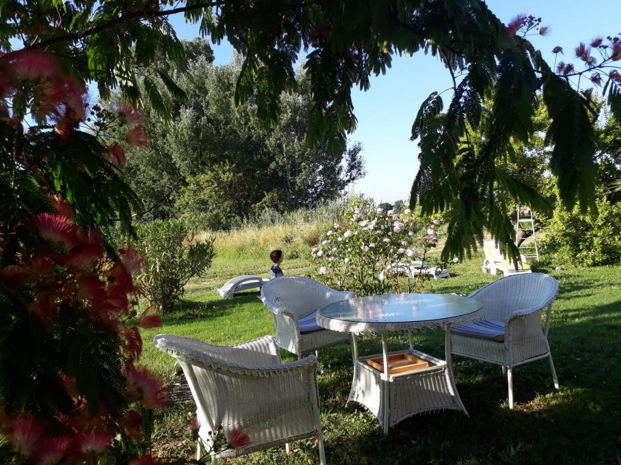 Aux Roses De L'Etang Hotel Capestang Exterior foto