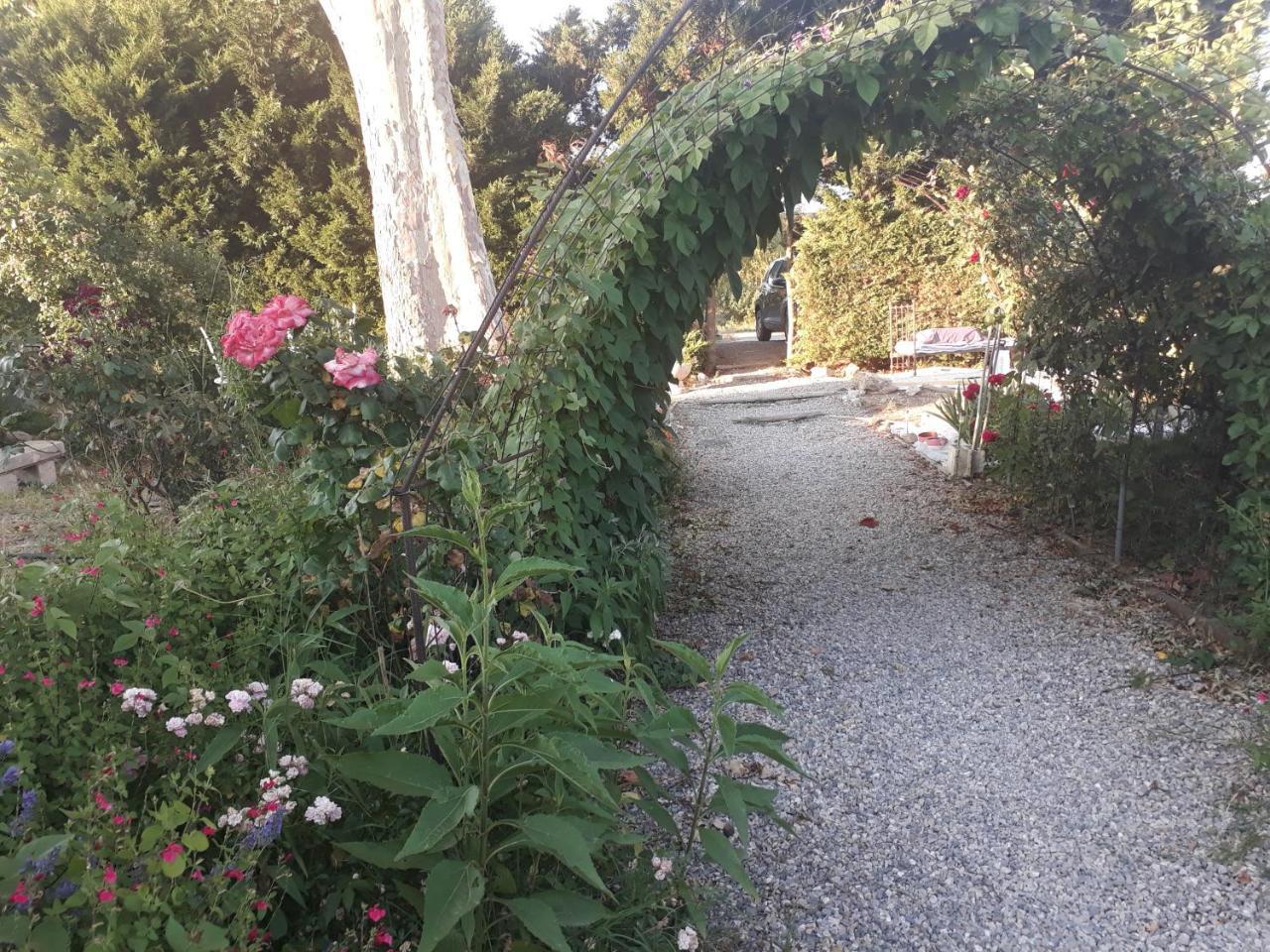 Aux Roses De L'Etang Hotel Capestang Exterior foto