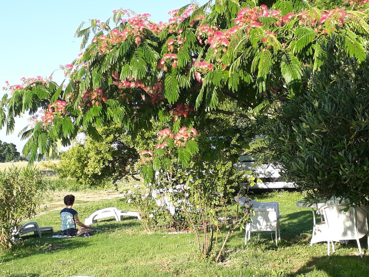 Aux Roses De L'Etang Hotel Capestang Exterior foto