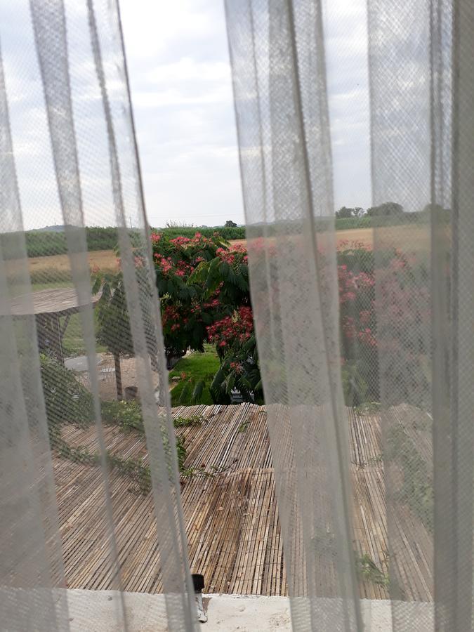 Aux Roses De L'Etang Hotel Capestang Exterior foto